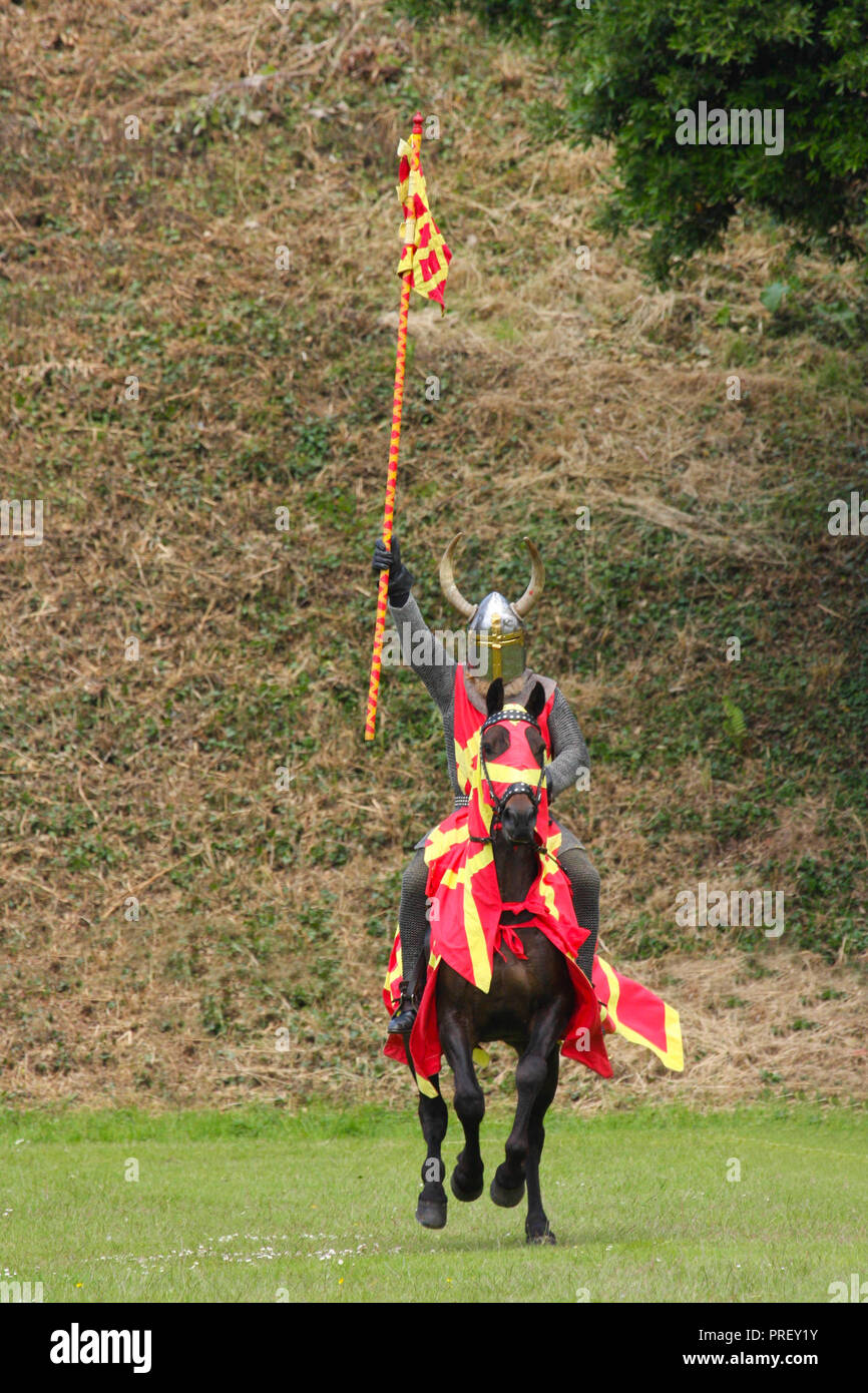 Horses and people dressed in medieval costumes for a mock jousting
