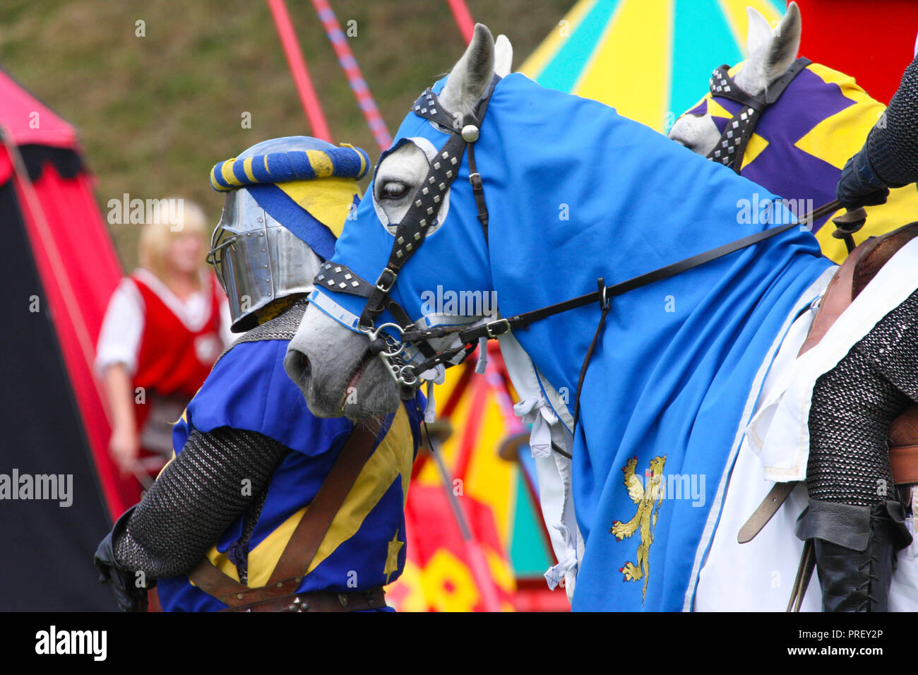 Horse dressed for jousting hires stock photography and images Alamy