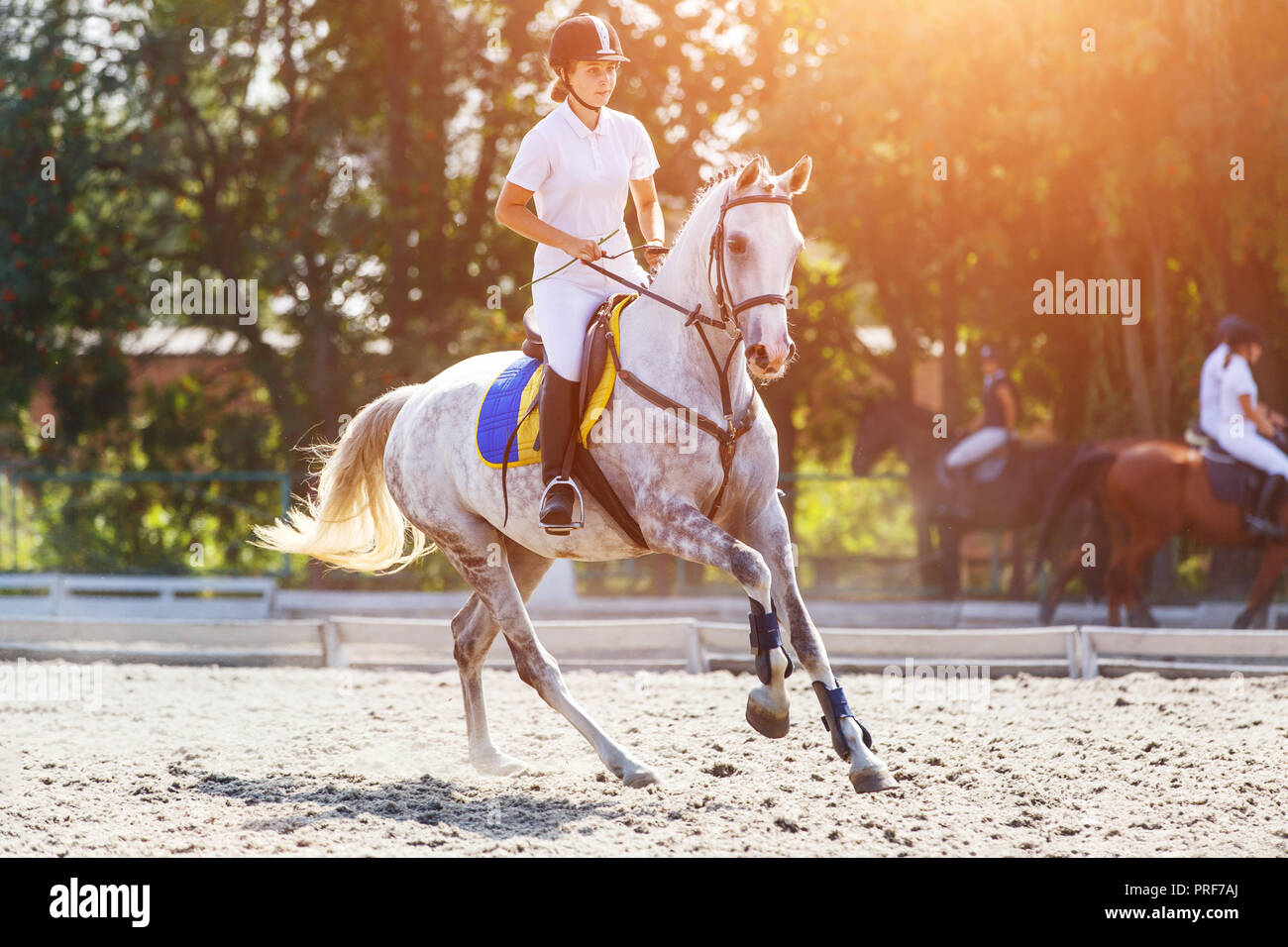 Young horse rider girl galloping on her course in show jumping competition Stock Photo