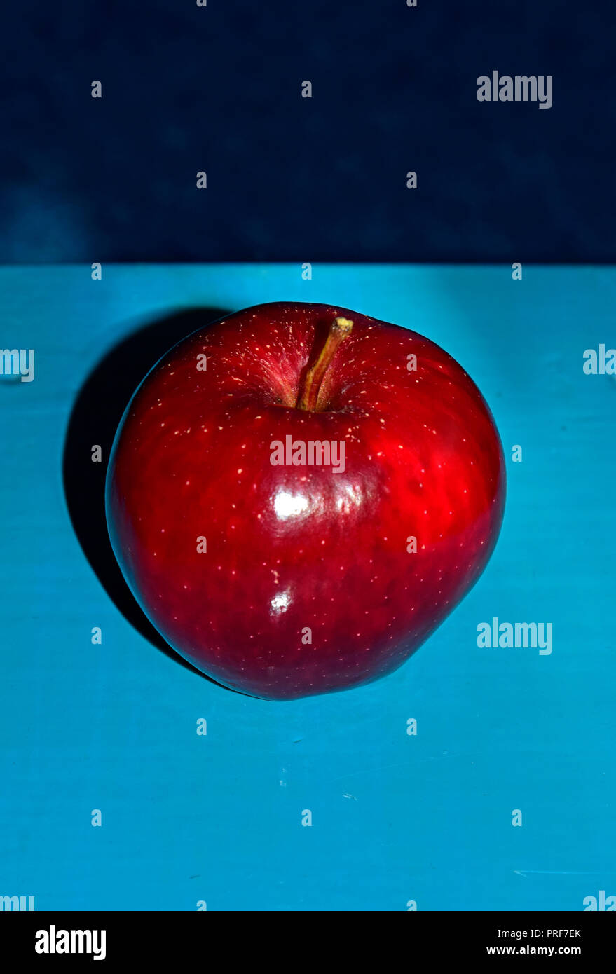 A waxy, dark red apple with white spots, lain on turquoise blue desktop, casting strong shadow, close-up view Stock Photo