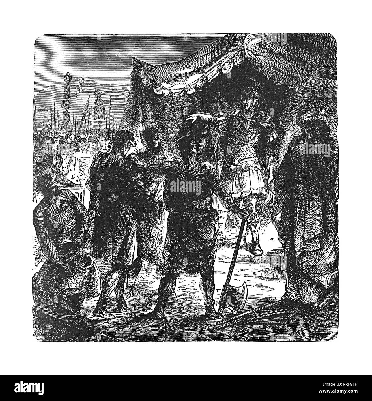 Manlius torquatus and son Cut Out Stock Images & Pictures Alamy