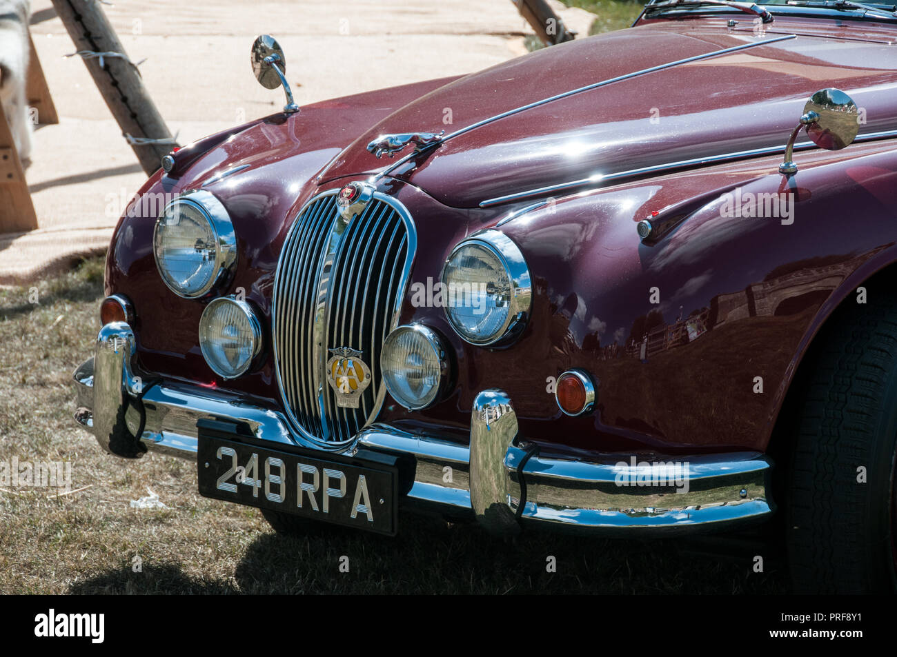 Around the UK - Countryfile Live -The Jaguar car that was used in the TV series featuring John Thaw as Morse. Stock Photo