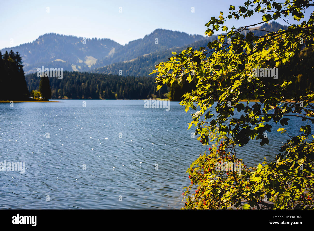 Malerische Landschaft am Schliersee, Bayern, Deutschland, Germany Stock Photo