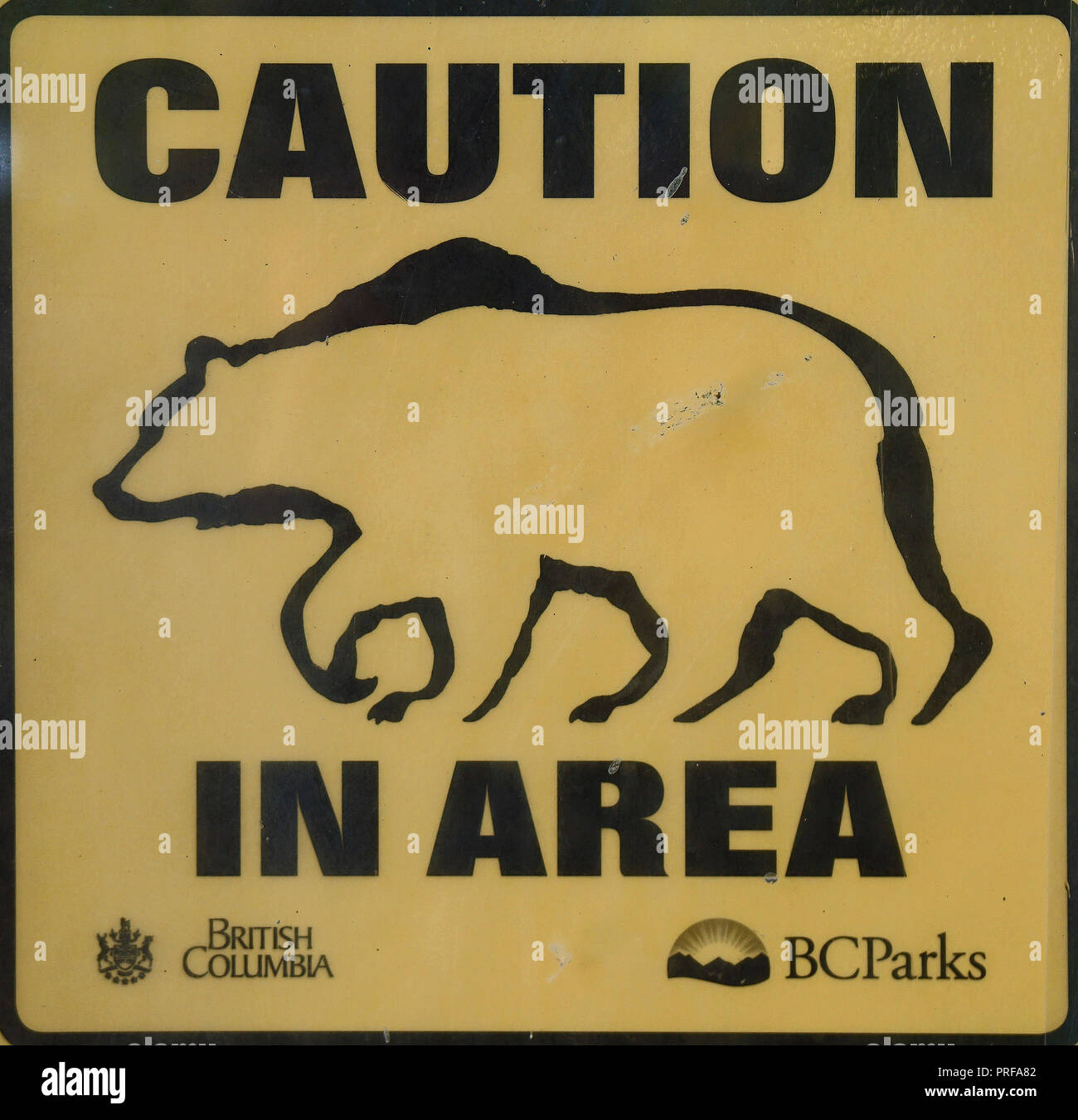 Warning sign bear in area, Botanical Beach, Port Renfrew, Vancouver Island, Canada Stock Photo
