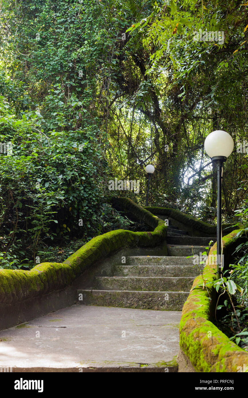 Summer landscape with footpath and tropical forest Road with stone stairs near temple in Bali, Indonesia Stock Photo