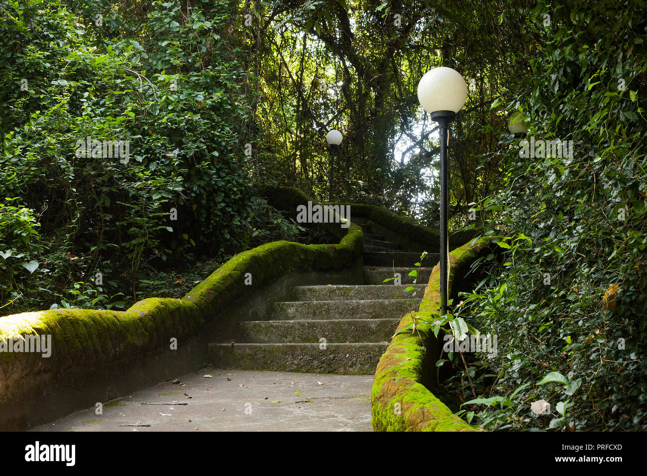 Summer landscape with footpath and tropical forest Road with stone stairs near temple in Bali, Indonesia Stock Photo