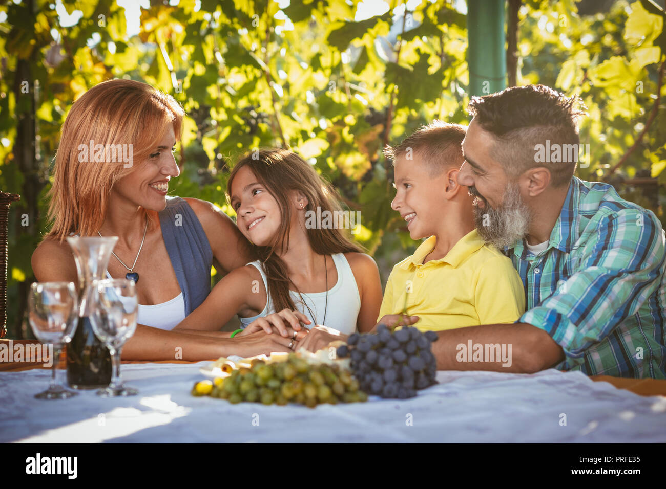Beautiful young smiling family of four having picnic at a vineyard. Stock Photo