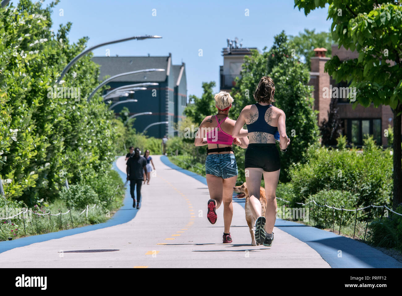 The 606, former elevated train line, greenway for pedestrians and bikers since 2015, Bloomingdale Trail, Wicker Park, Chicago, Illinois, USA Stock Photo