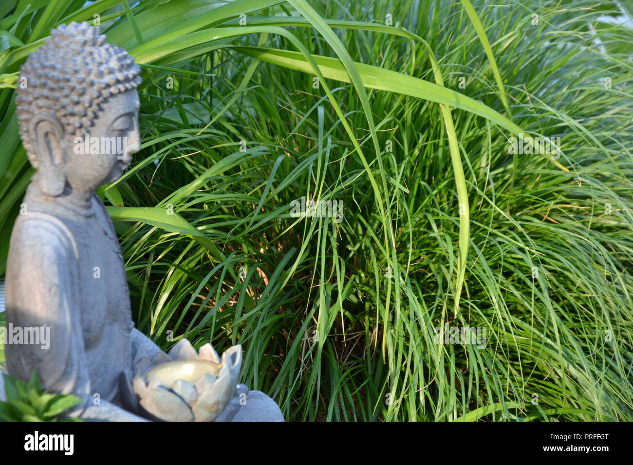 Buddha      Hintergrund Stock Photo