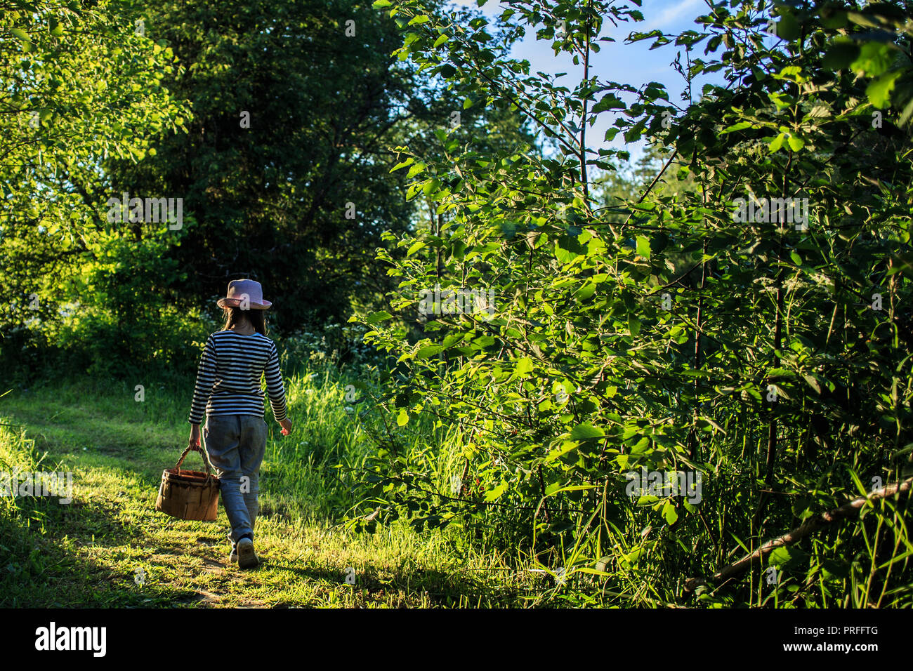 Young girl walking on a path through green woods carrying a basket ...