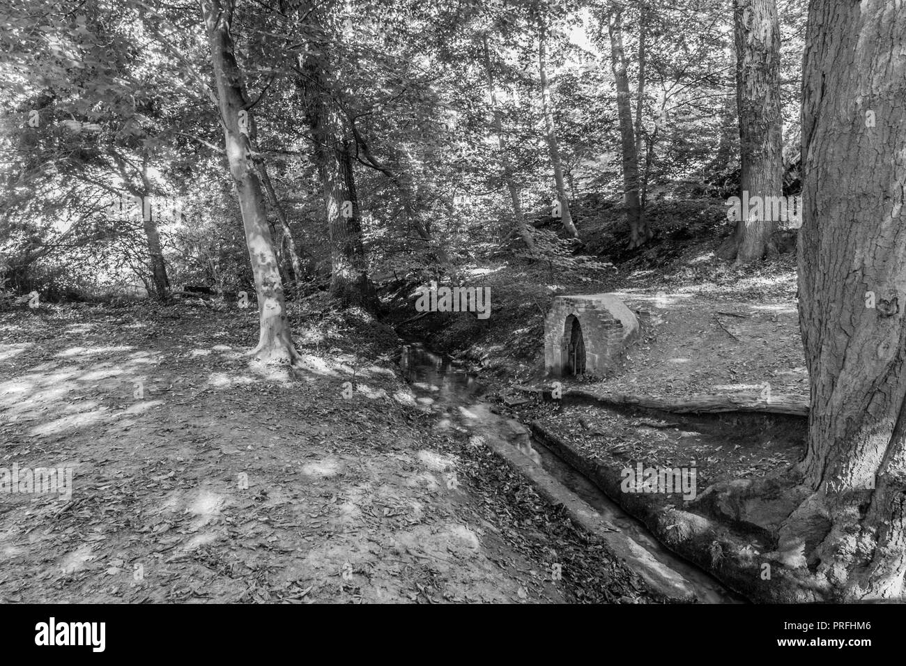Awesome river view Black and White Stock Photos & Images - Alamy