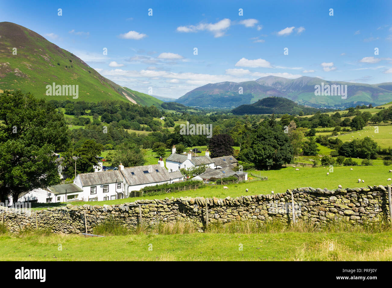 Cumbria Agricultural Seek And Sell