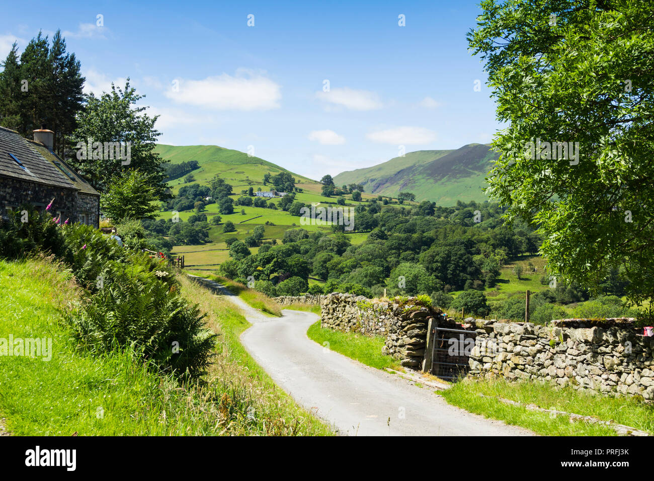 Newlands valley Cumbria, looking south-west from Littletown down the length of an unclassifed road towards High Snab Bank. Stock Photo