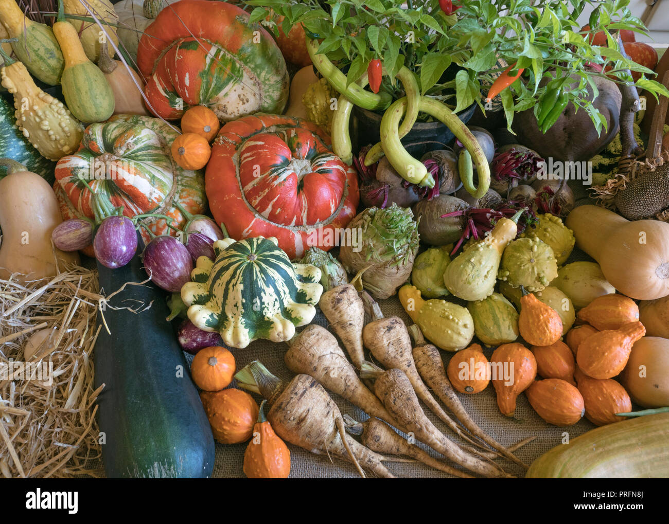Home Grown fruit and vegetables on display for a harvest festival Stock