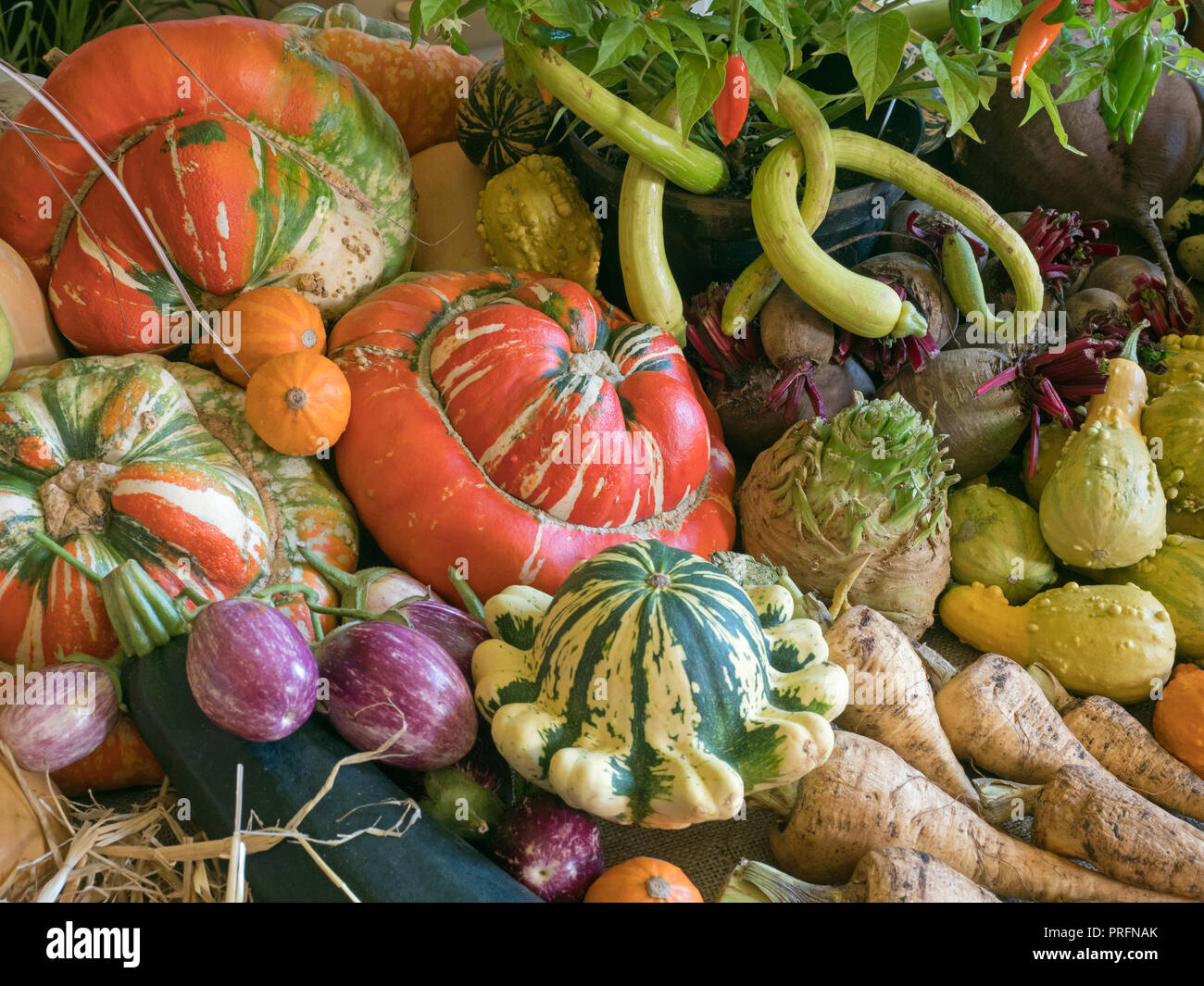 Home Grown fruit and vegetables on display for a harvest festival Stock Photo