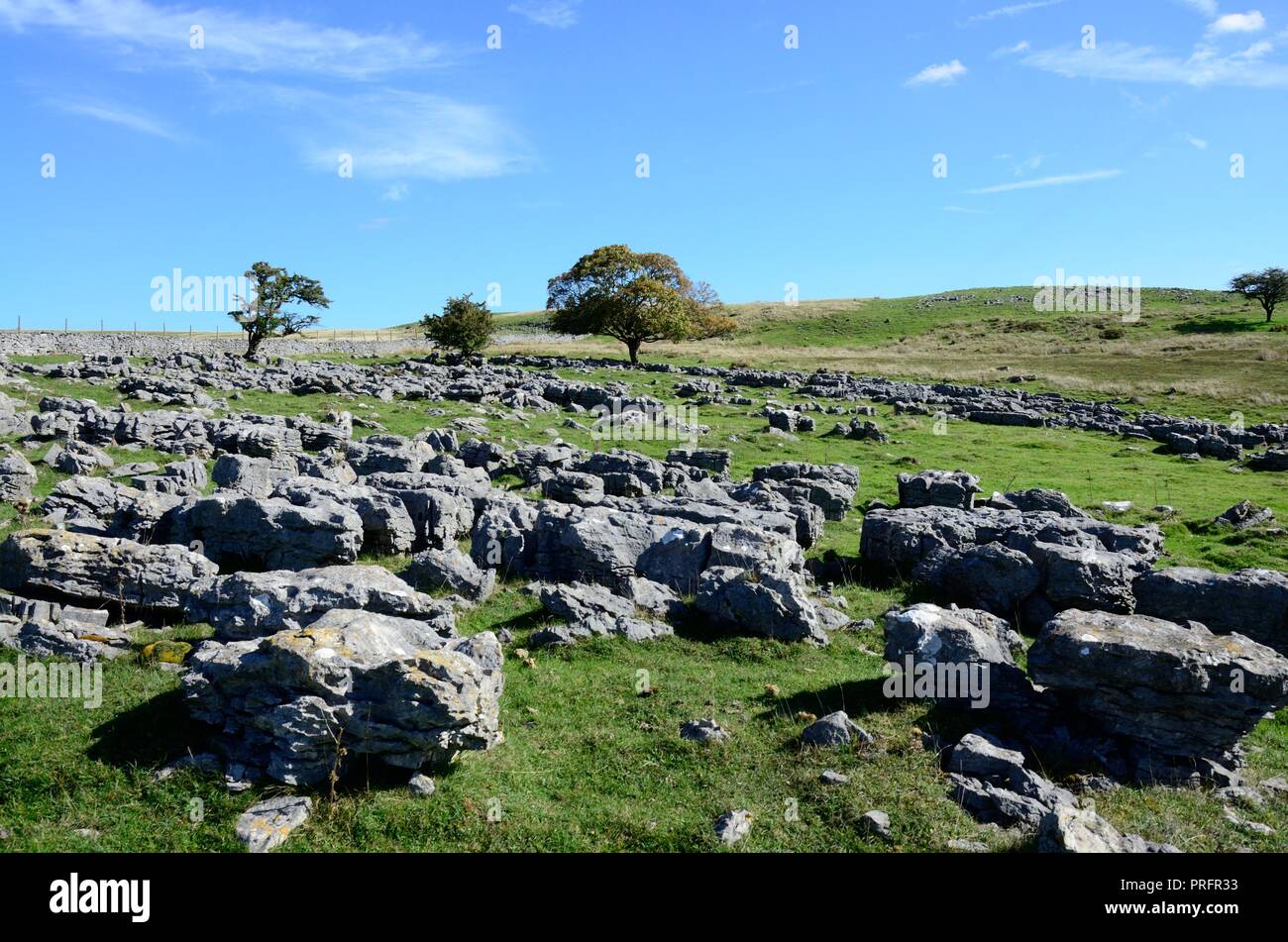 Limestone landscape boulders Ystradfellte Brecon Beacons National Park Fforest Fawr UNESCO Goepark Wales Cymru UK Stock Photo