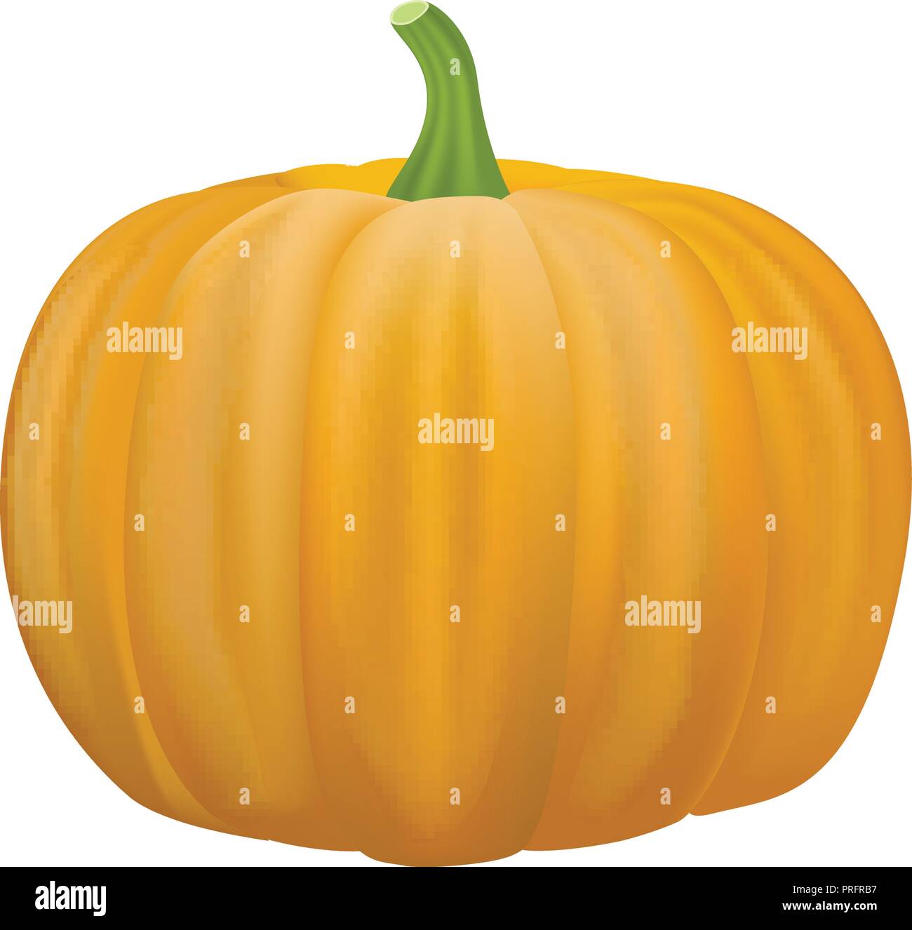 Pumpkin icon, realistic style Stock Vector