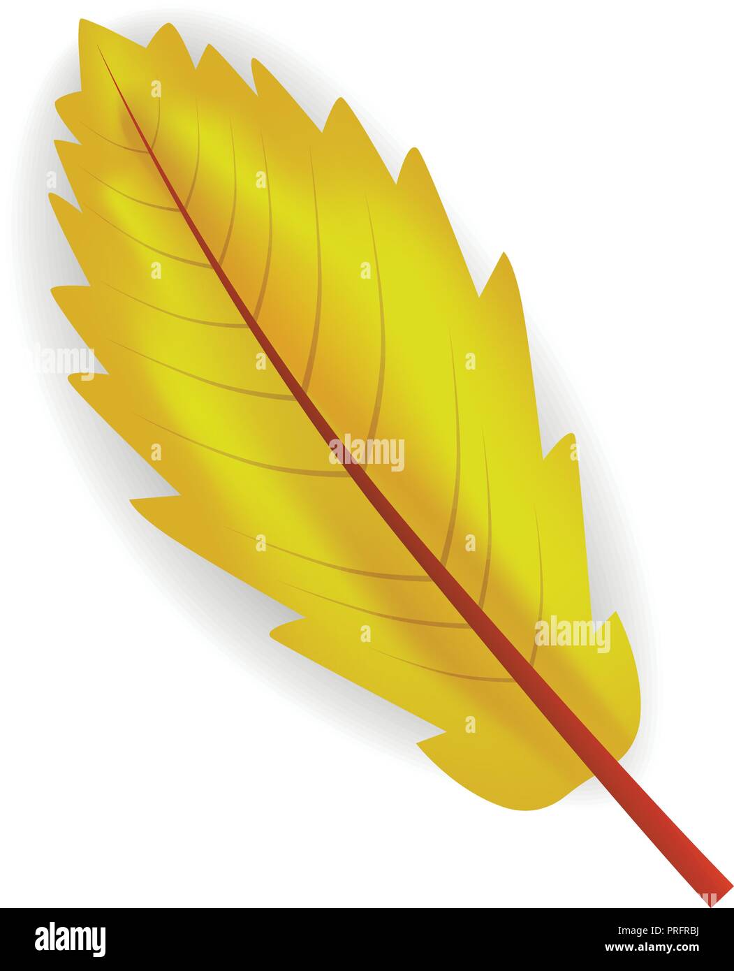 Fall yellow leaf icon, realistic style Stock Vector Image & Art Alamy