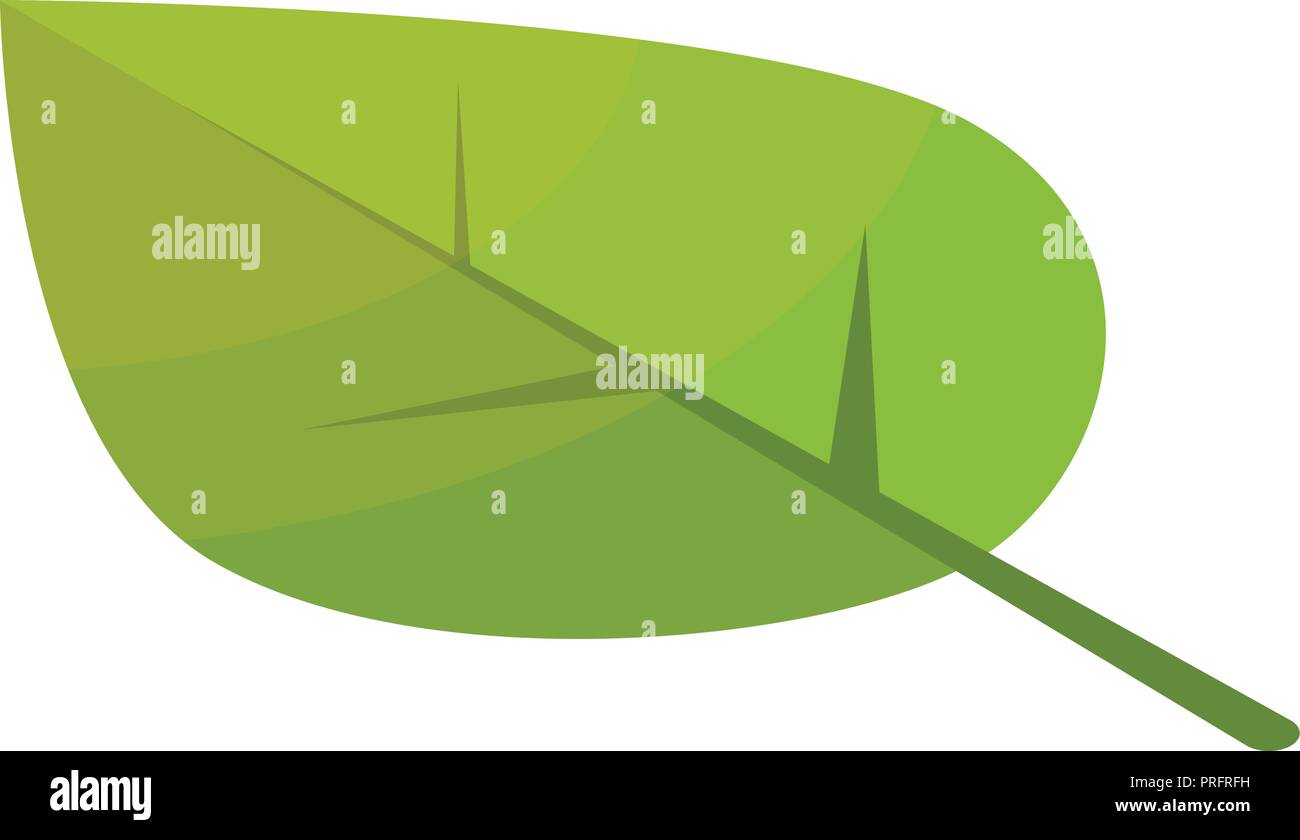 Poplar tree leaf icon, isometric style Stock Vector