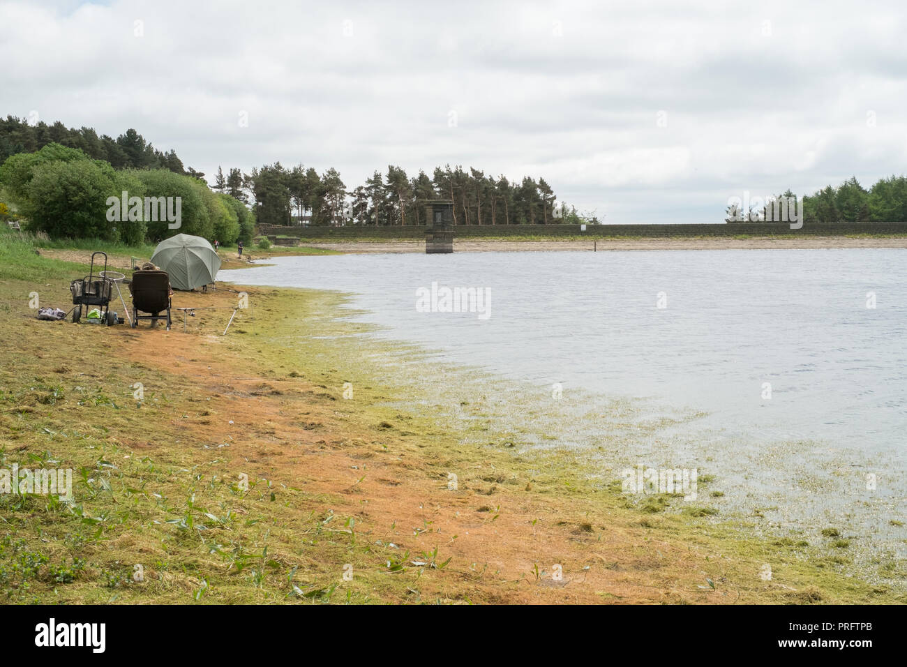 Scout Dike Reservoir, Thurlstone, Sheffield, UK Stock Photo Alamy