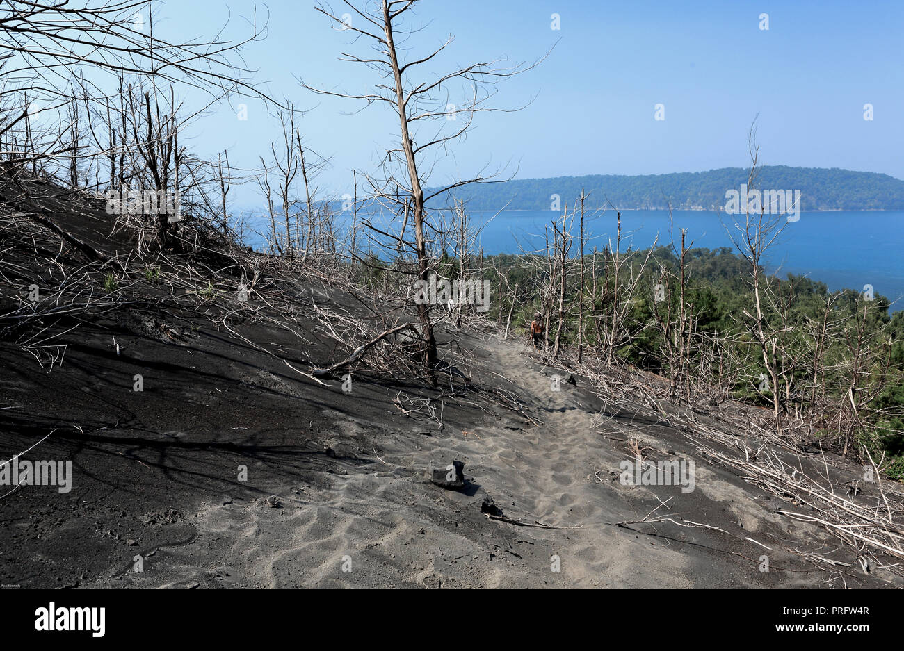 Krakatoa Island (Anak Krakatau) in the Krakatoa caldera, situated