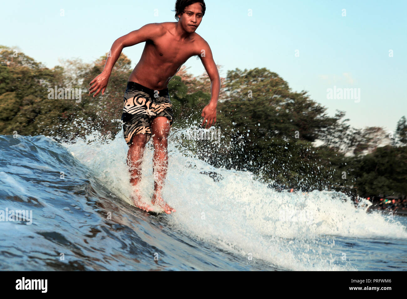 Surfer hanging ten while longboard surfing a wave in Batu Karas, Java