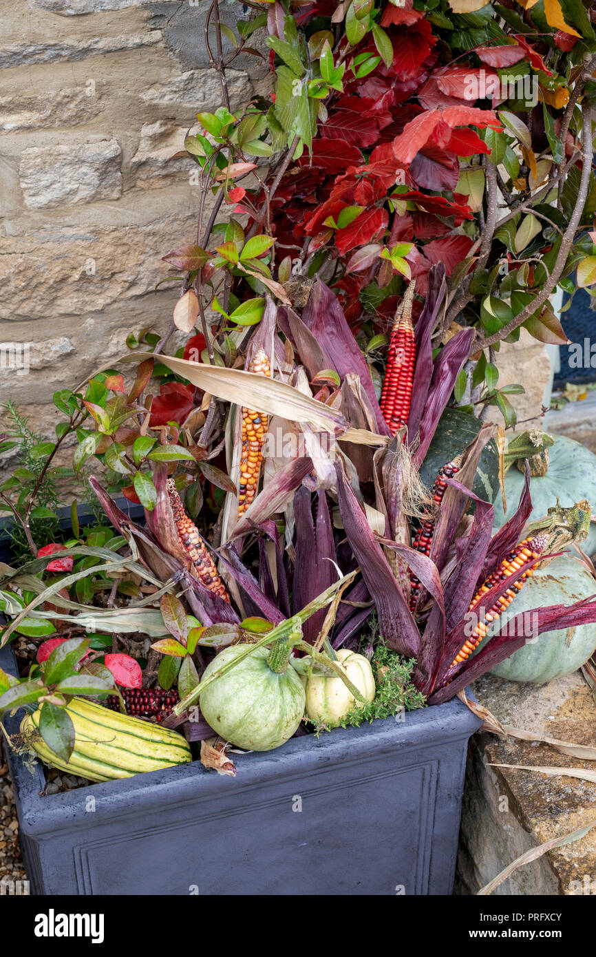 Autumnal door display with coloured corn, squash and beech leaves at Daylesford Organic farm shop autumn festival. Daylesford, Cotswolds, UK Stock Photo
