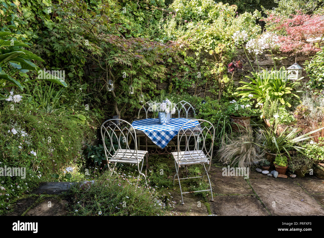 White garden furniture with blue checked tablecloth, Devon Stock Photo