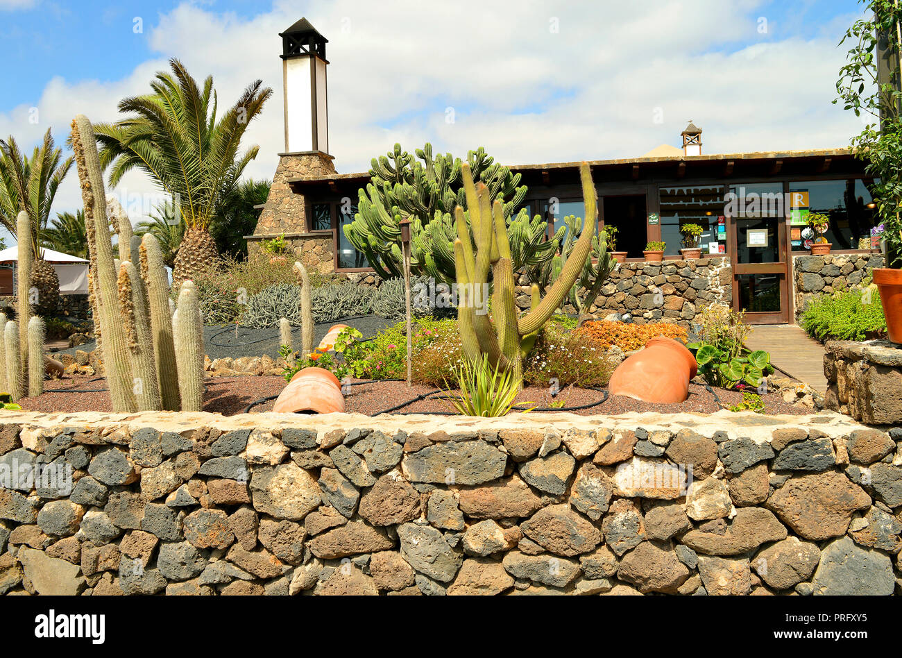 Cactus garden in La Oliva, Fuerteventura one of the Canary Islands Stock  Photo - Alamy