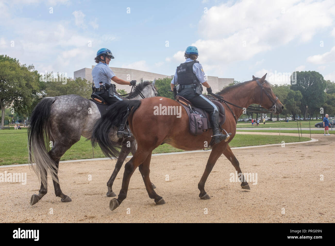 Mounted U.S. Park Police patrol the National Mall in Washington, DC. National Gallery of Art is in the background. Stock Photo