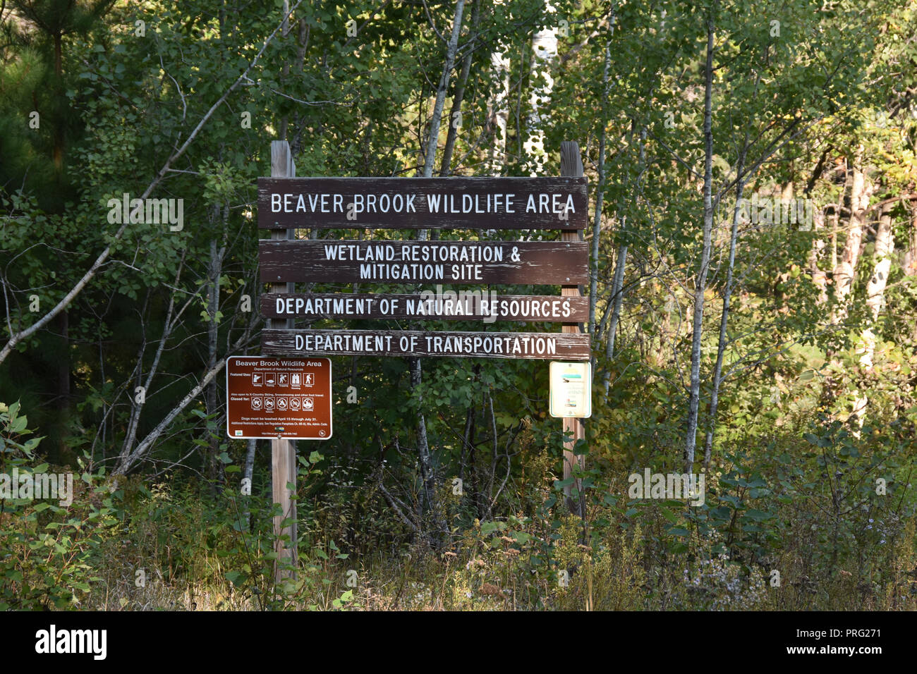ChequamegonNicolet National Forest, Wisconsin Stock Photo Alamy