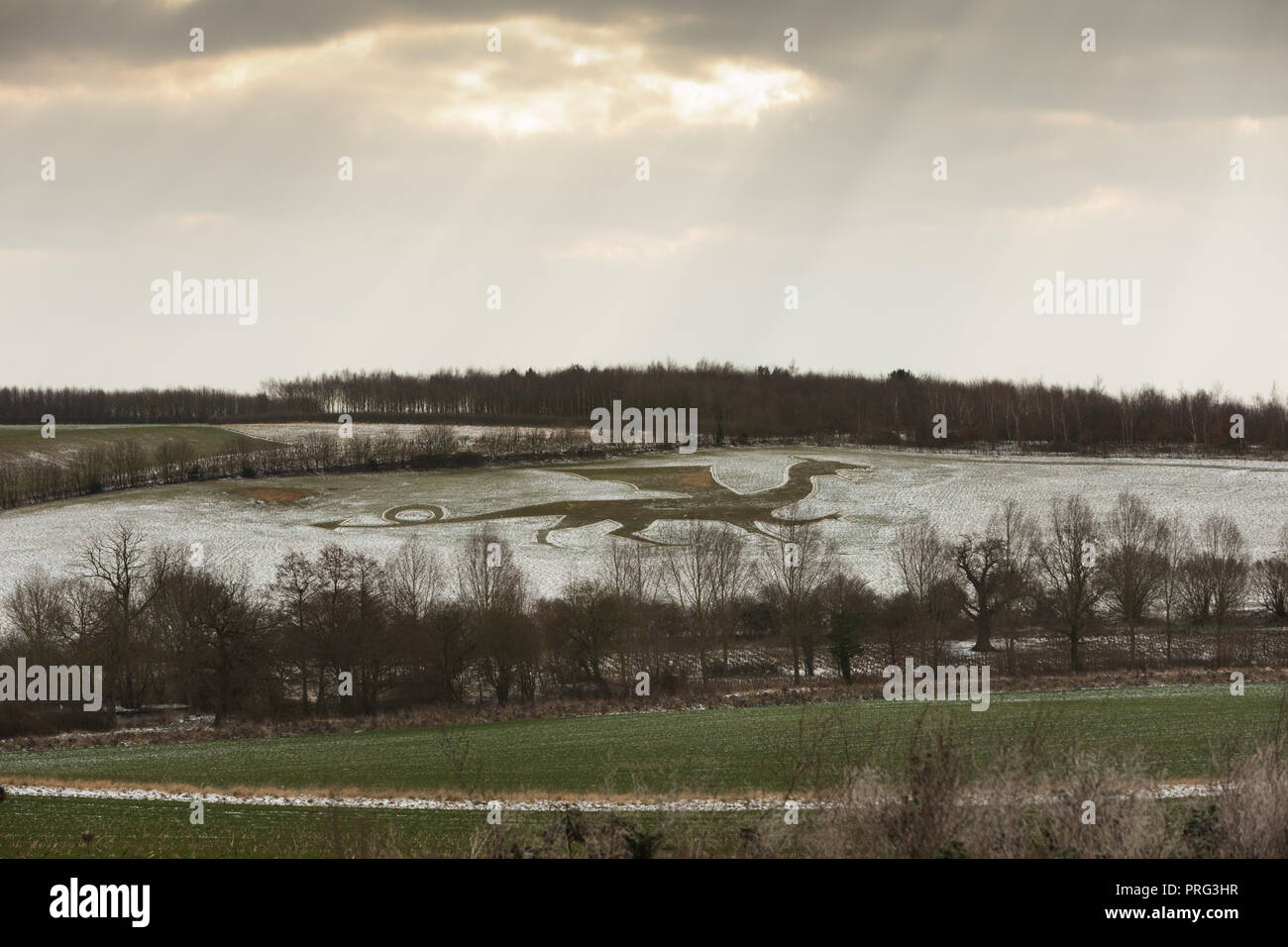 The Old Bures Dragon in a snow covered field. The Chonicles of St ...