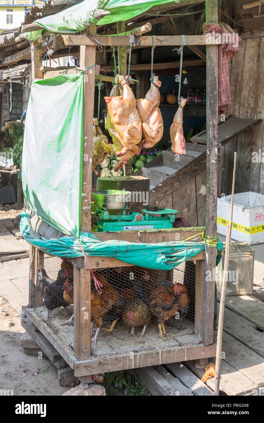 Live and butchered chickens on sale at roadside stall, Meghalaya, India Stock Photo