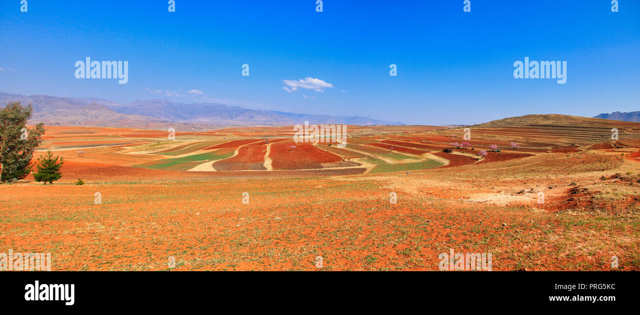 Colourful fields beeing plowed in Lesotho Stock Photo