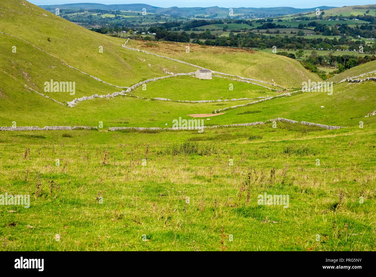Narrowdale near Alstonefield in the Peak District National Park, Derbyshire ,UK Stock Photo