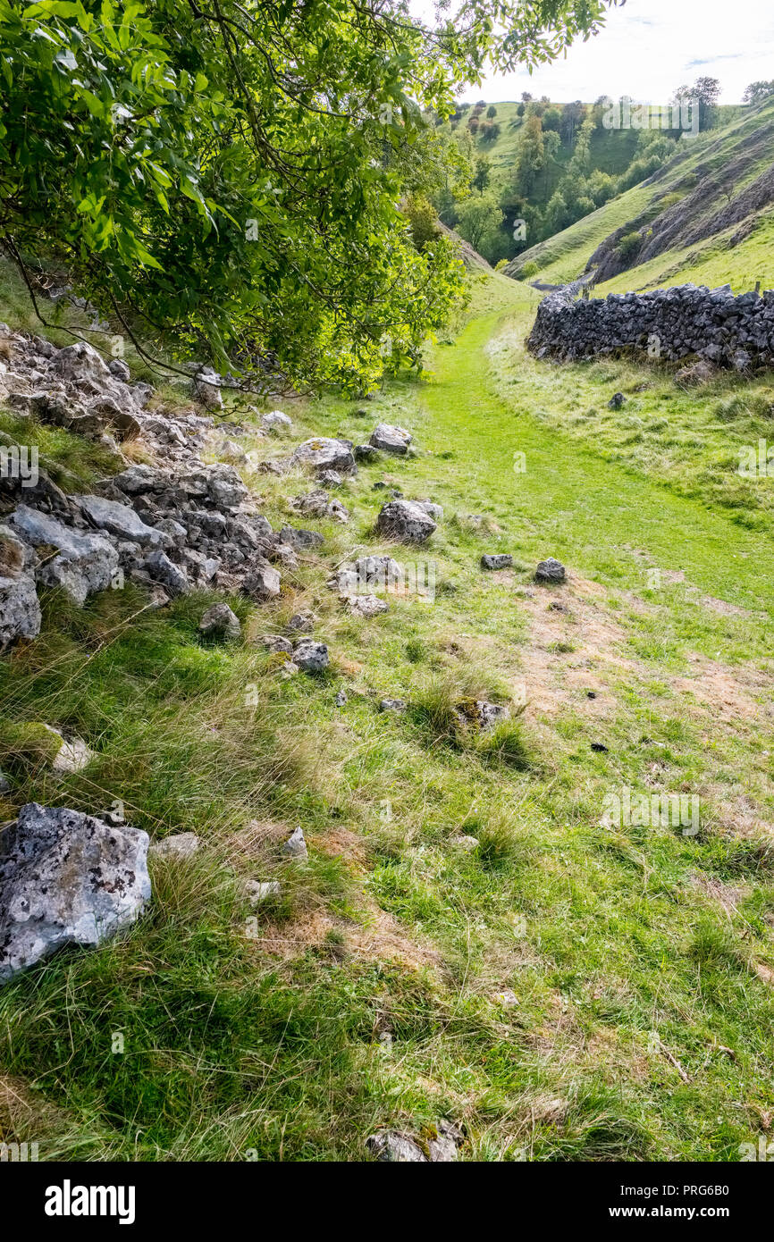 Hall Dale which leads to Dovedale in the Peak District National Park, Derbyshire Stock Photo
