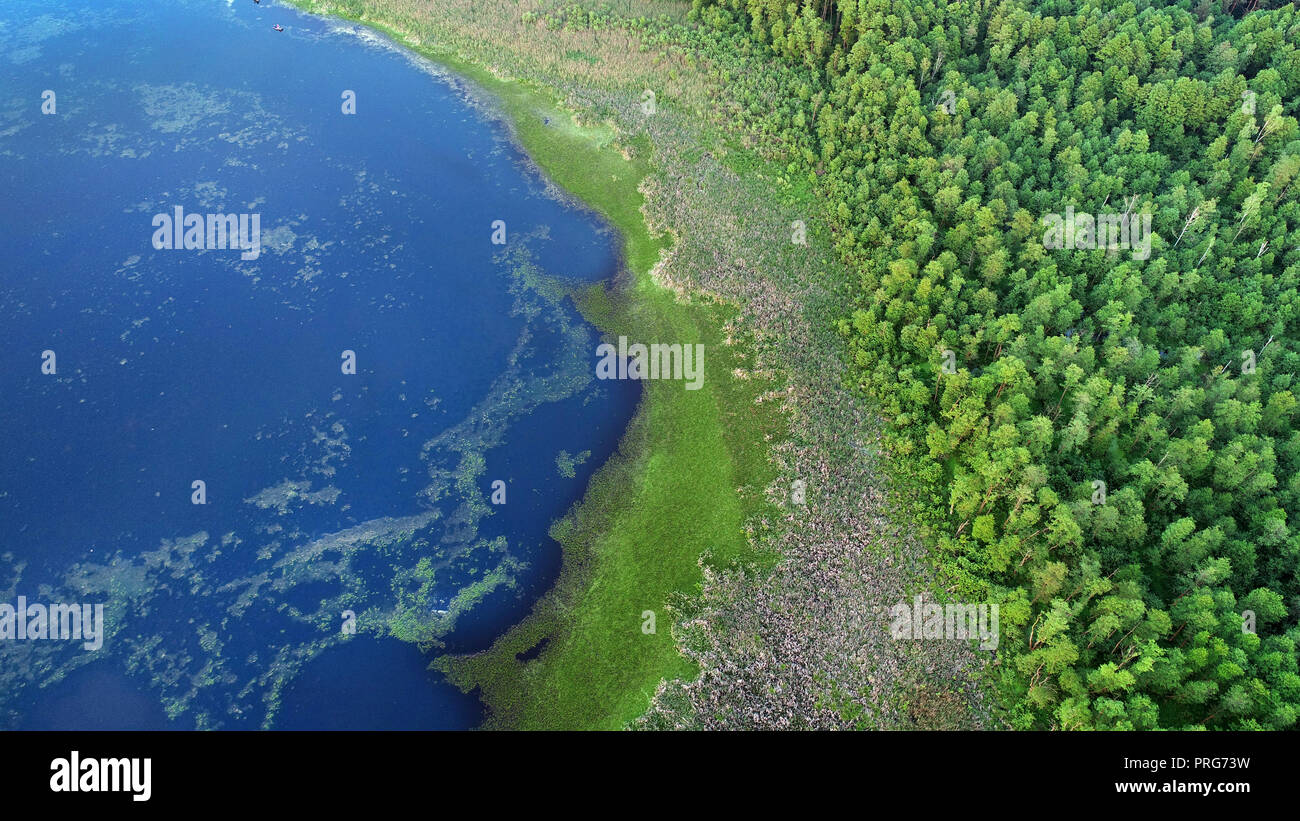 Aerial landscape - lake shoreline Stock Photo
