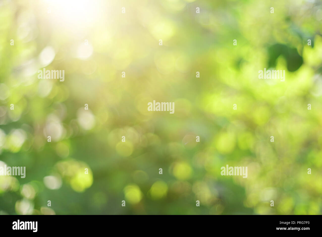 Green defocused abstract background with bokeh circles Stock Photo - Alamy