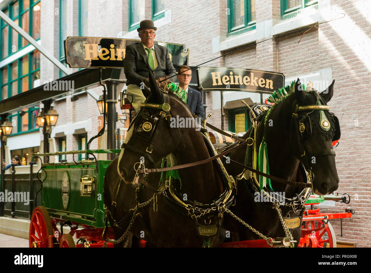 Draught draft heavy horses working at historic Heineken brewery, Amsterdam, the Netherlands Stock Photo