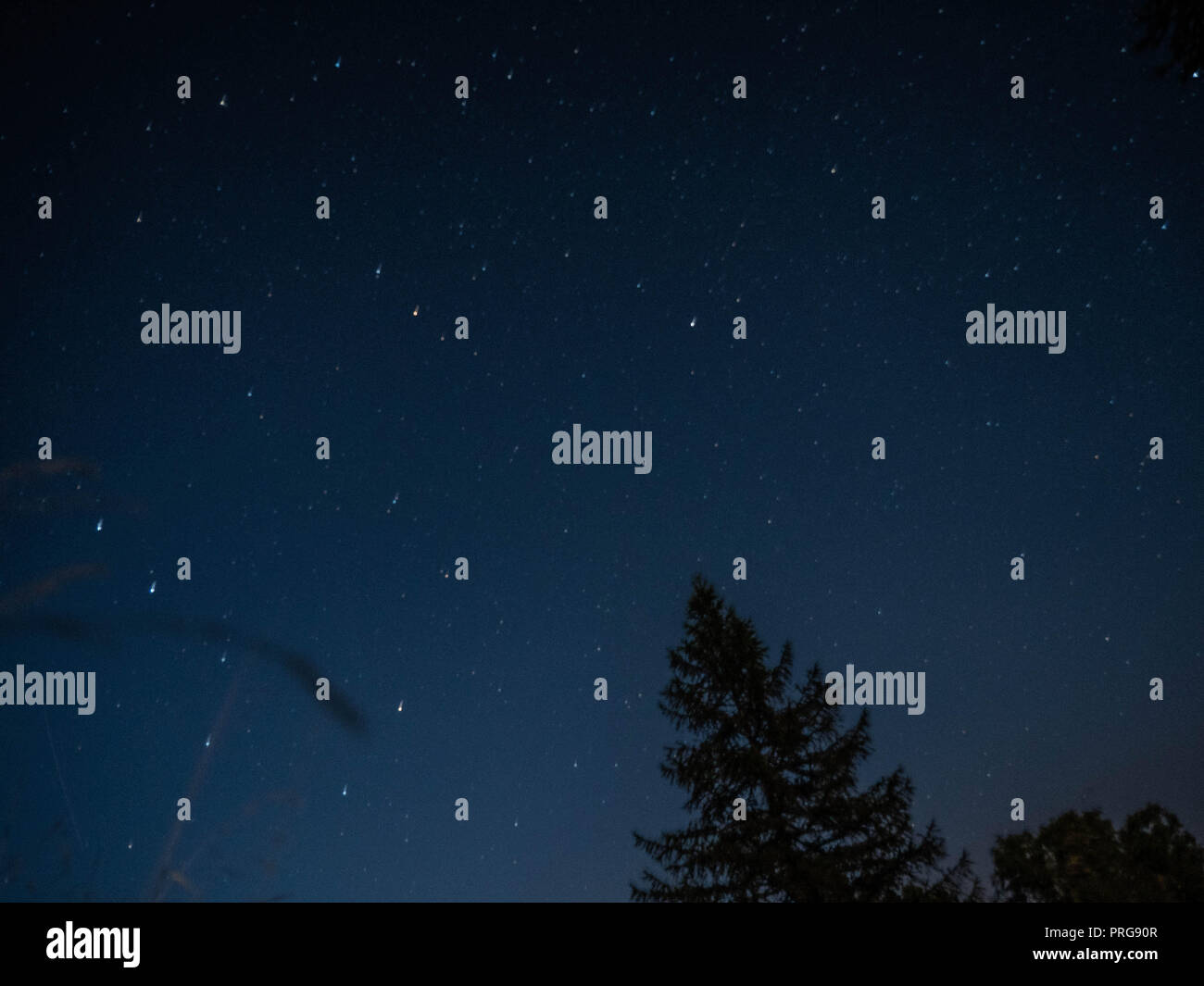 Night sky over the swiss wilderness with Forests and grasses in the background, shot in ces near chironico, switzerland (CH) Stock Photo