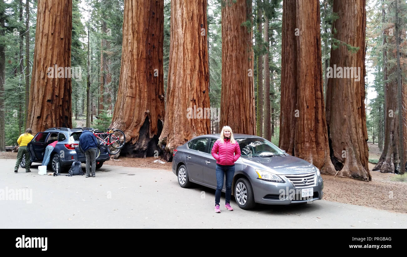 Sequoia National Park, California - 04.2016 Stock Photo