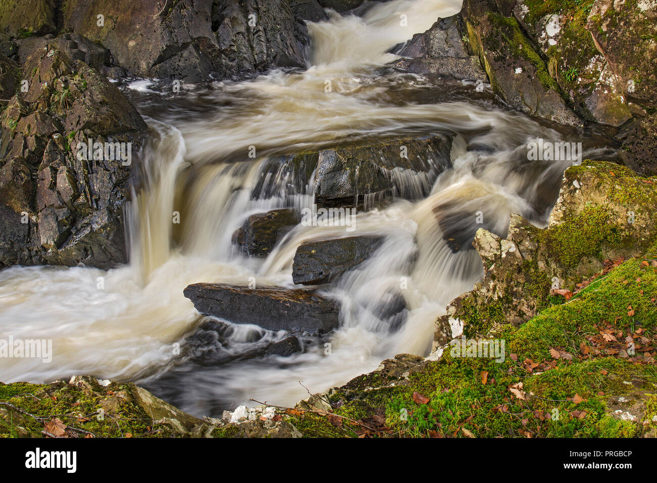 A section of the turbulent Afon (River) Gamlan flowing through the Coed Ganllwyd National Nature Reserve in the Coed-y-Brenin Forest Stock Photo