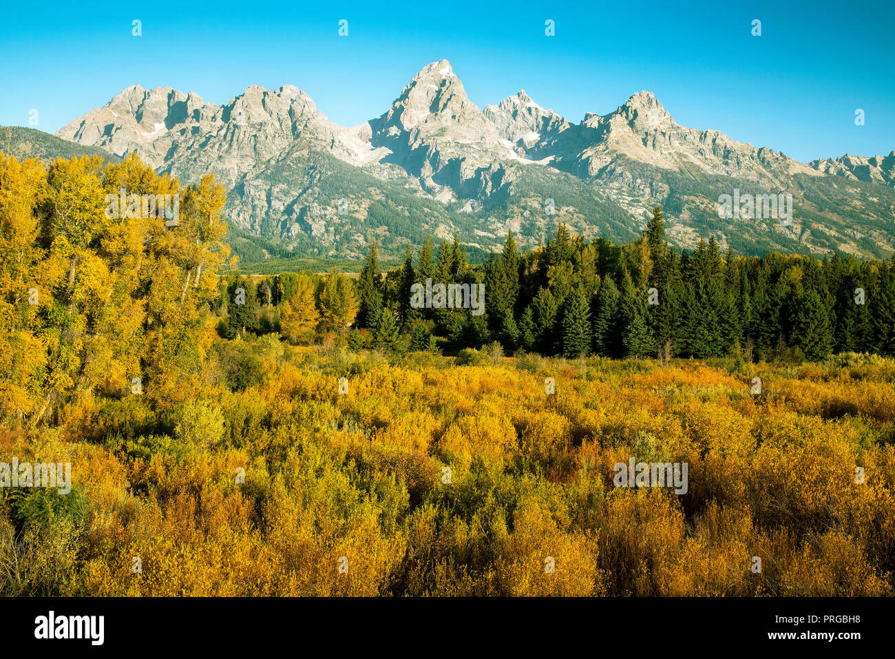 Blacktail ponds overlook hi-res stock photography and images - Alamy