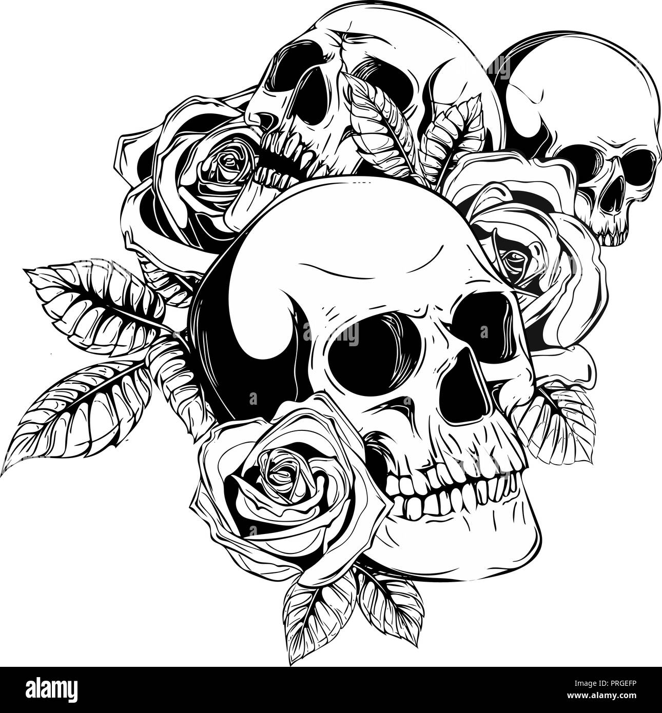 A human skulls with roses on white background Stock Vector