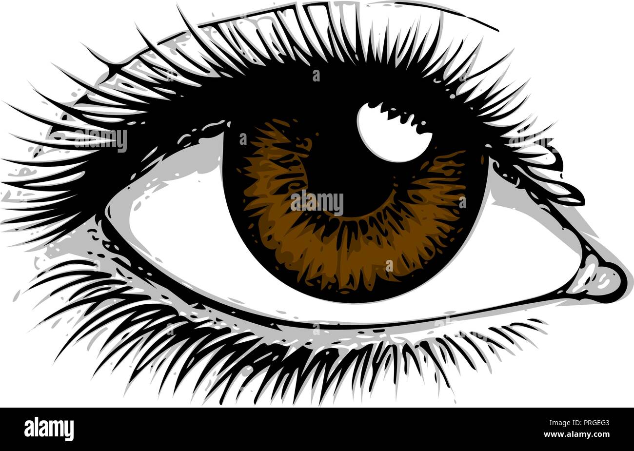 Eye on white background. Eyes art. Woman eye. The eye logo. Eyes art. Human eye, eye close up - vector. Stock Vector