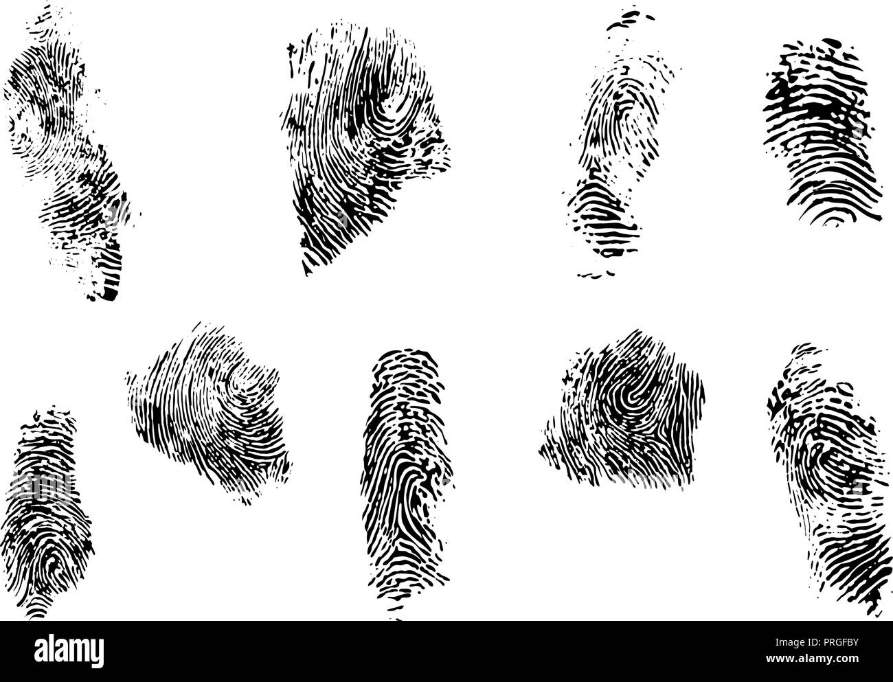 fingerprint set vector illustration Stock Vector