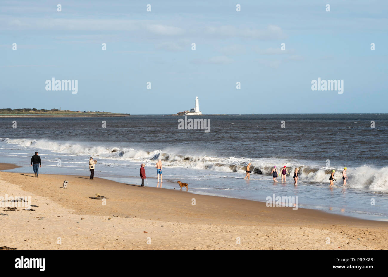 Whitley Bay, UK. 2nd Oct, 2018. Members of the Panama Swimming Club take to the North Sea on a sunny but cold and windy Autumn day. St. Mary's Island in the background. (c) Washington Imaging/Alamy Live News Stock Photo