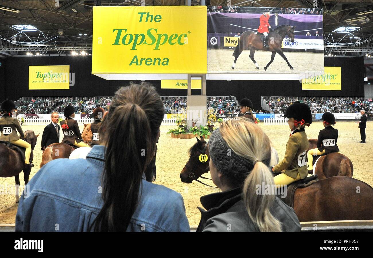 Horse of the year show nec hires stock photography and images Alamy