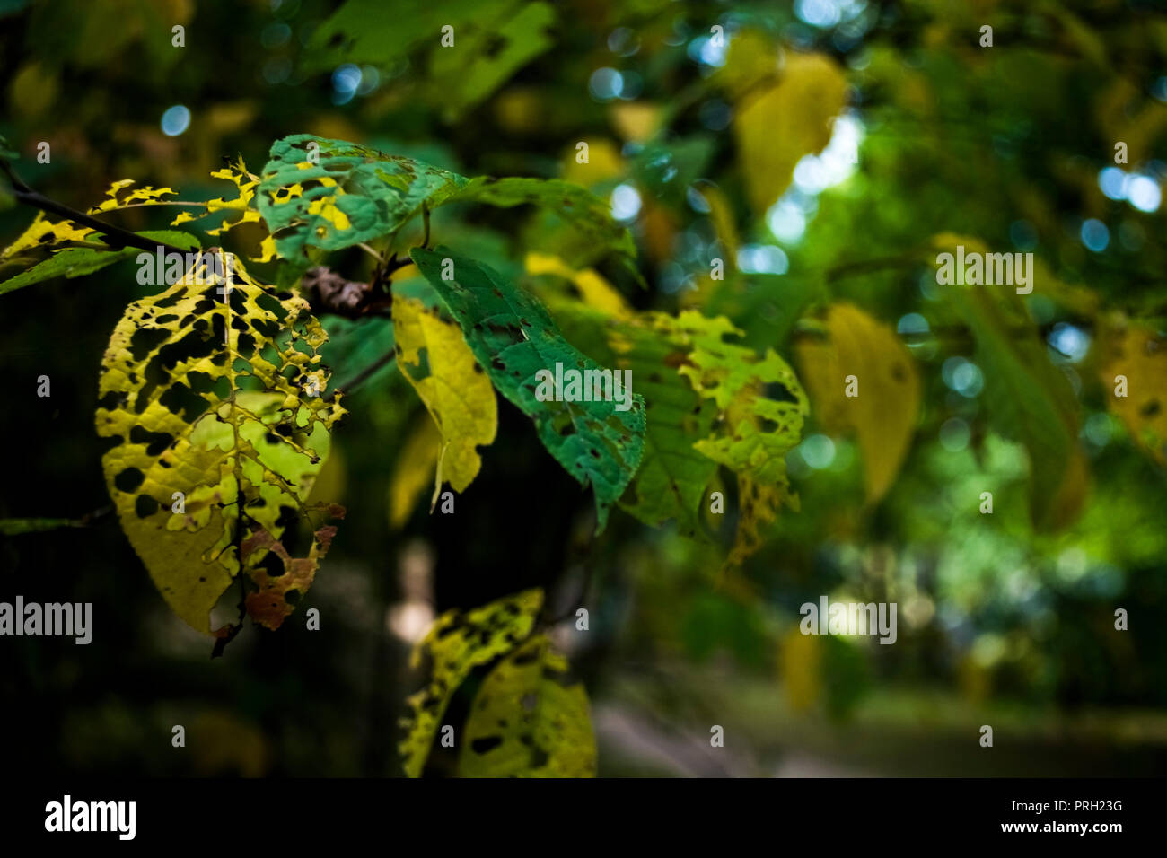 Harsh Colors High Resolution Stock Photography and Images - Alamy