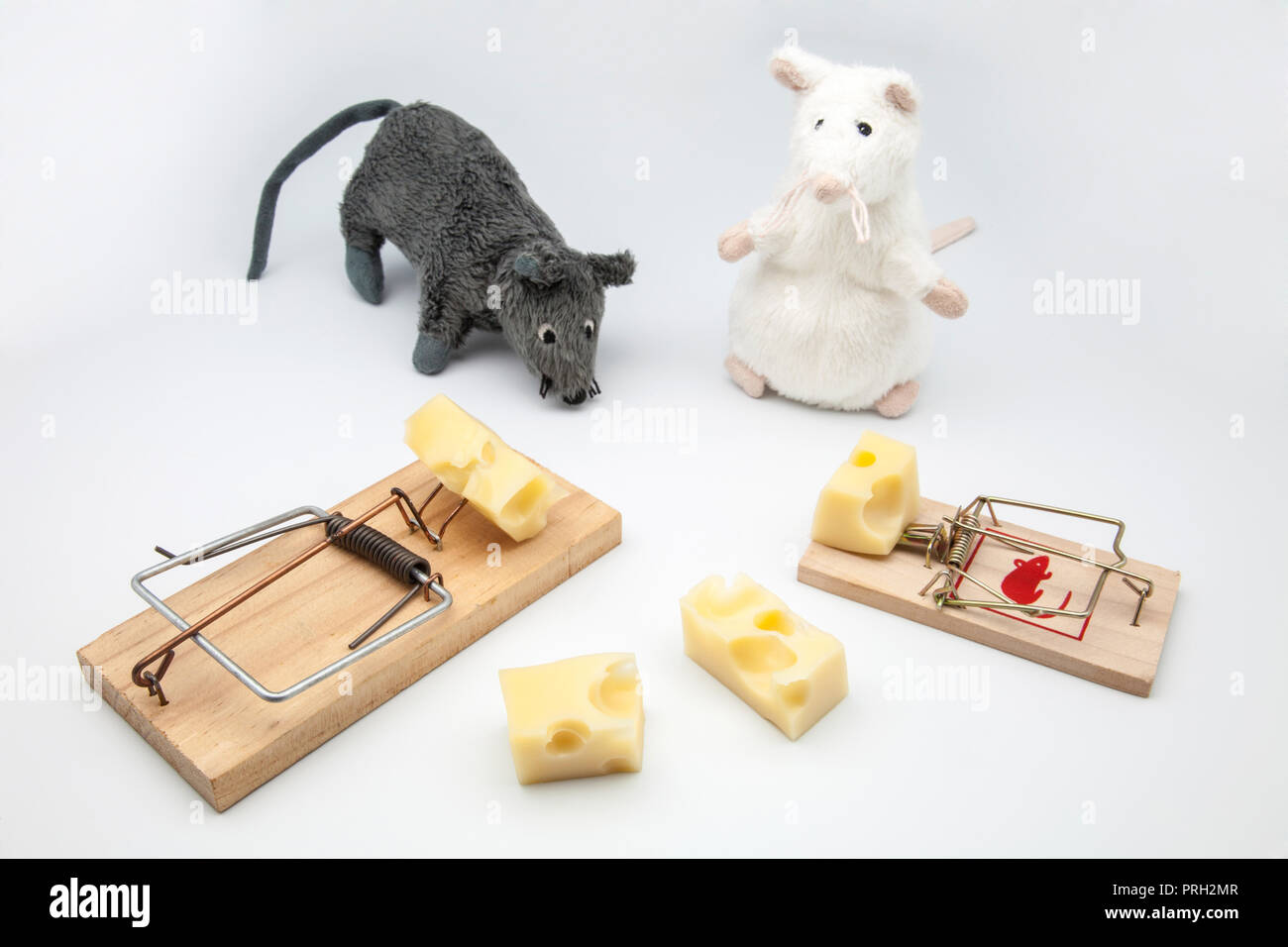 mice and rat-traps with cheese on white background Stock Photo